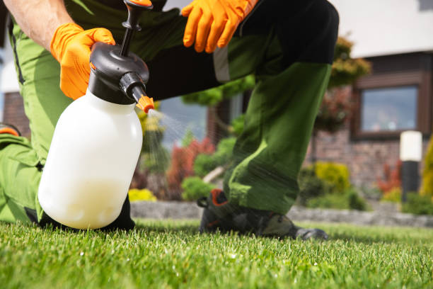 Best Commercial Pest Control Services  in Lexington, NE