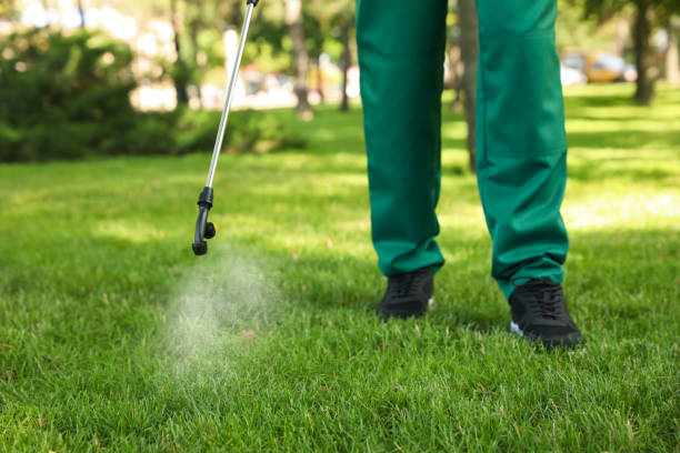 Professional Pest Control in Lexington, NE