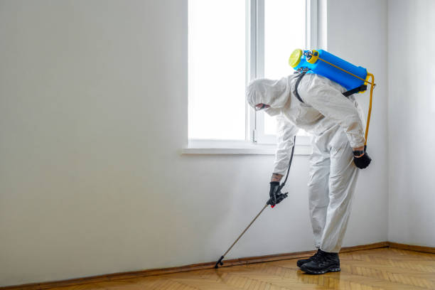 Best Wasp Removal Services  in Lexington, NE