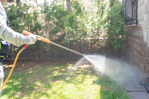 Best Flea Control Services  in Lexington, NE