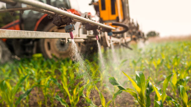 Best Best Pest Control Companies  in Lexington, NE